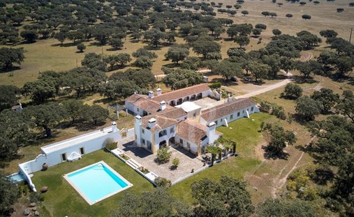 Finca in Sao Lourenco de Mamporcao e Sao Bento de Ana Loura, Évora District, Portugal 1
