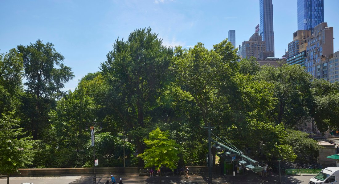 Condo in New York, New York, United States 3 - 16748253