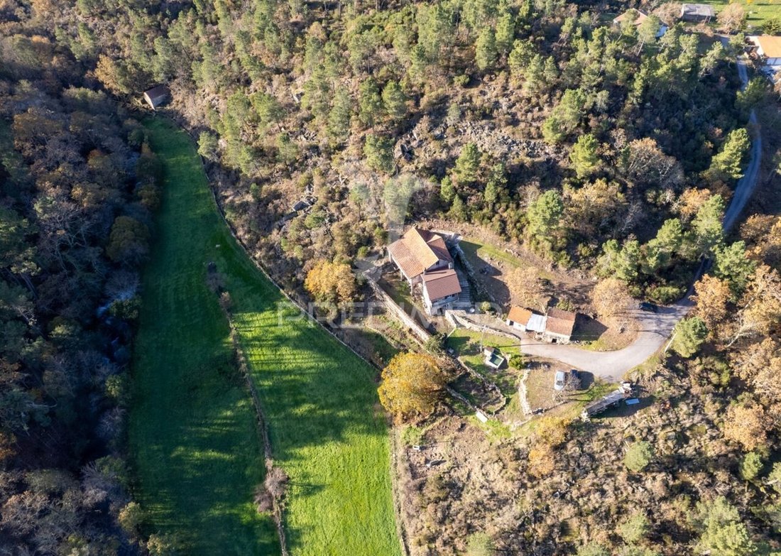 Farm Ranch in Vila Real, Vila Real District, Portugal 1 - 16751706