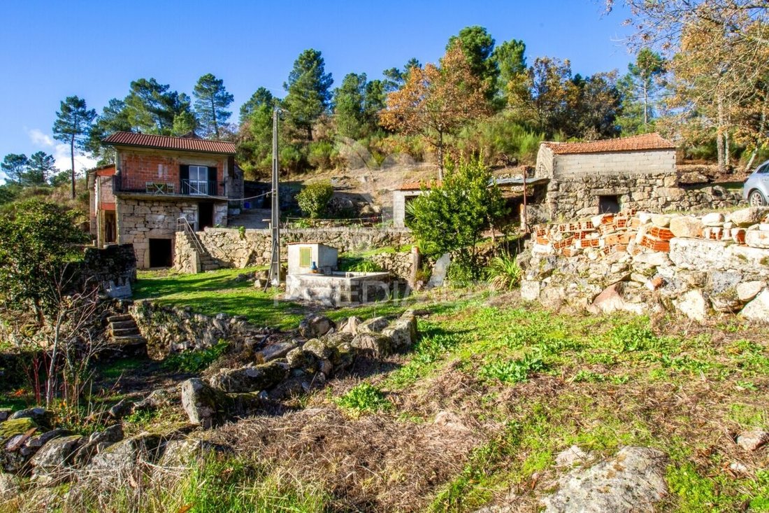 Farm Ranch in Vila Real, Vila Real District, Portugal 3 - 16751706