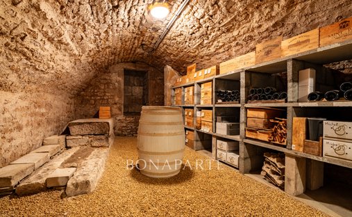 Castle for Sale in Niort, Nouvelle-Aquitaine, France