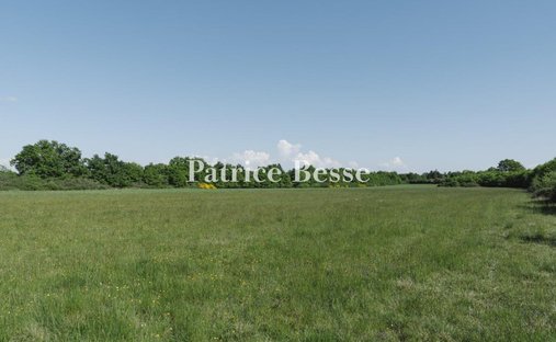Château 3800 M² Sur Terrain 22ha