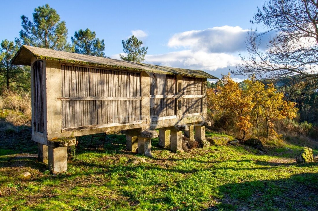 Farm Ranch in Vila Real, Vila Real District, Portugal 4 - 16751706
