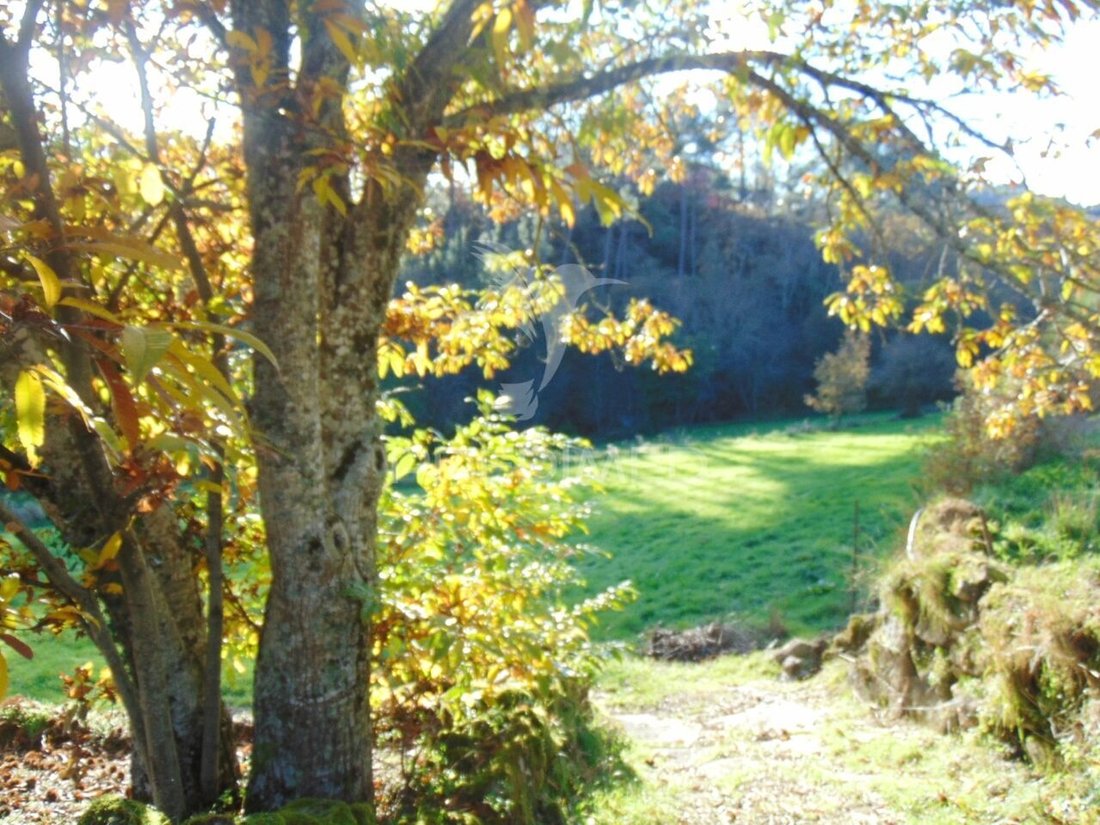 Farm Ranch in Vila Real, Vila Real District, Portugal 5 - 16751706