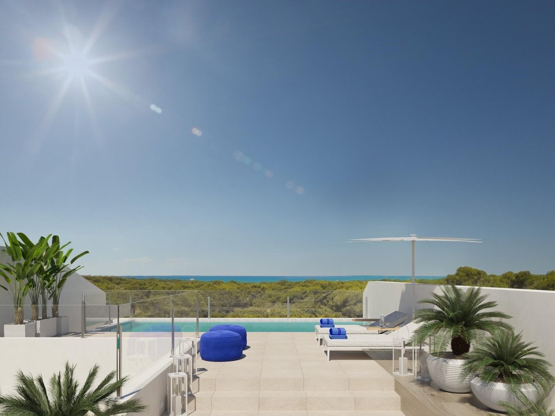 Apartment in Guardamar del Segura, Valencian Community, Spain 1 - 16750235