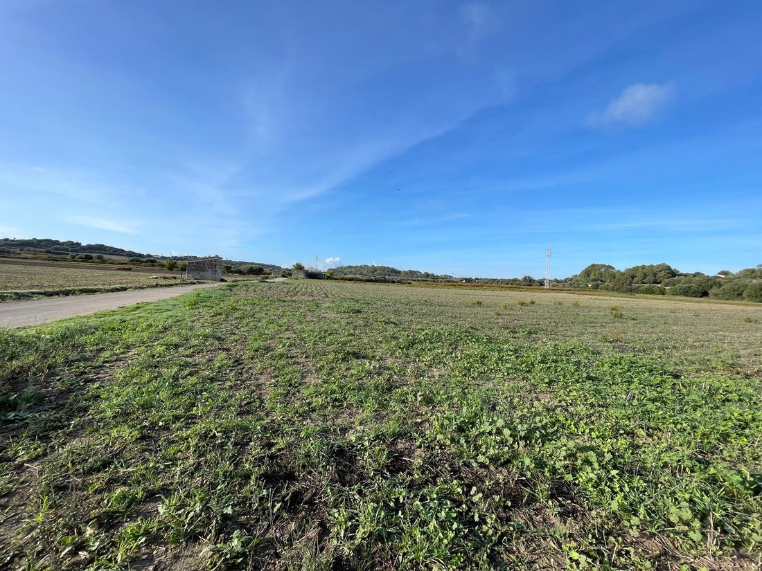 Land in Muro, Balearic Islands, Spain 2 - 16749661
