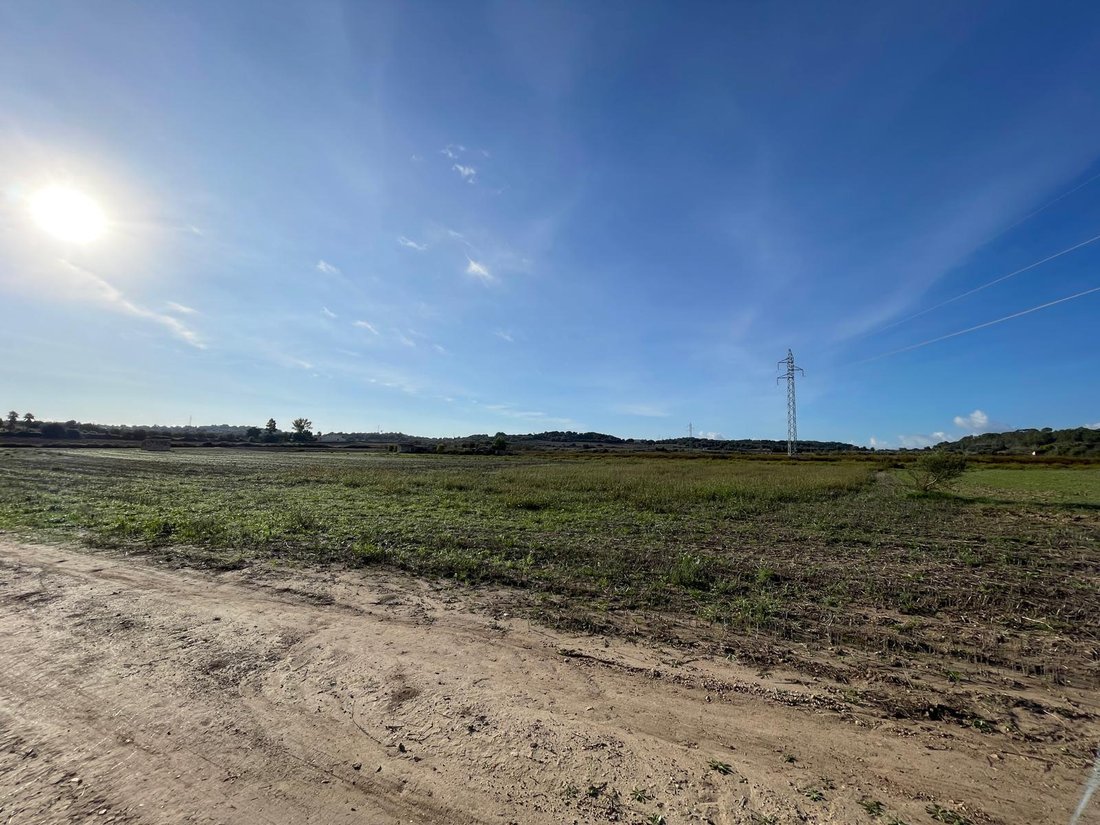 Land in Muro, Balearic Islands, Spain 3 - 16749661