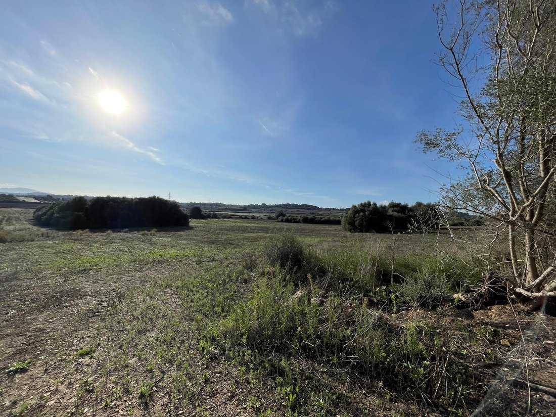 Land in Muro, Balearic Islands, Spain 4 - 16749669