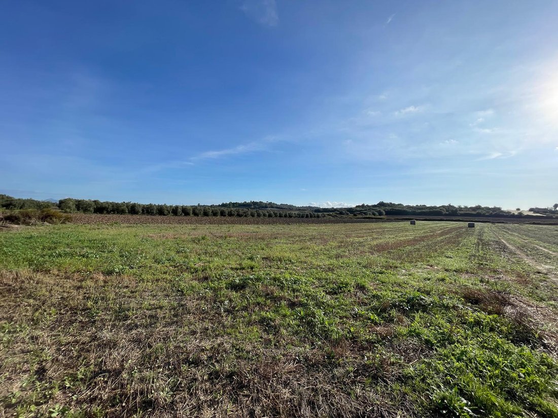 Land in Muro, Balearic Islands, Spain 2 - 16749669