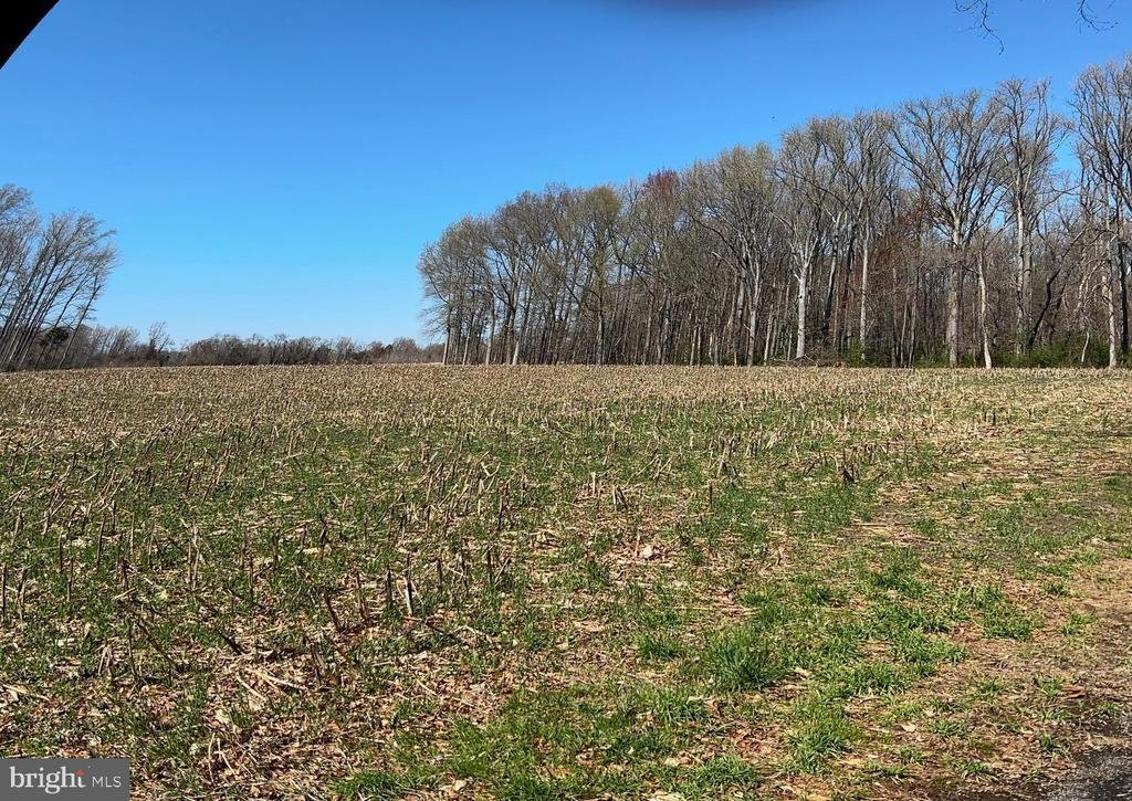 Land in Townsend, Delaware, United States 4 - 16752102