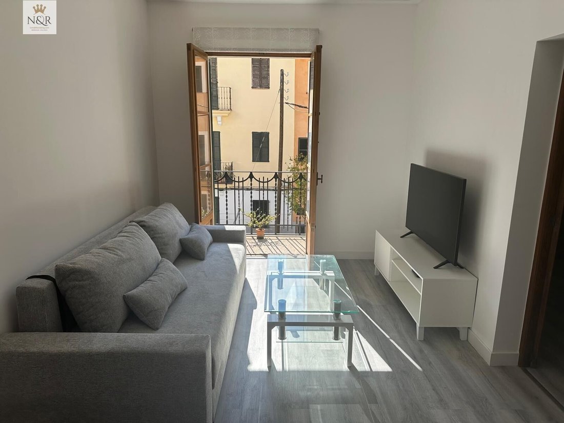 Apartment in Palma, Balearic Islands, Spain 1 - 16758010