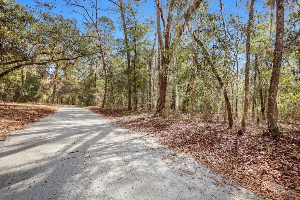 Land in Woodbine, Georgia, United States 2 - 16755678