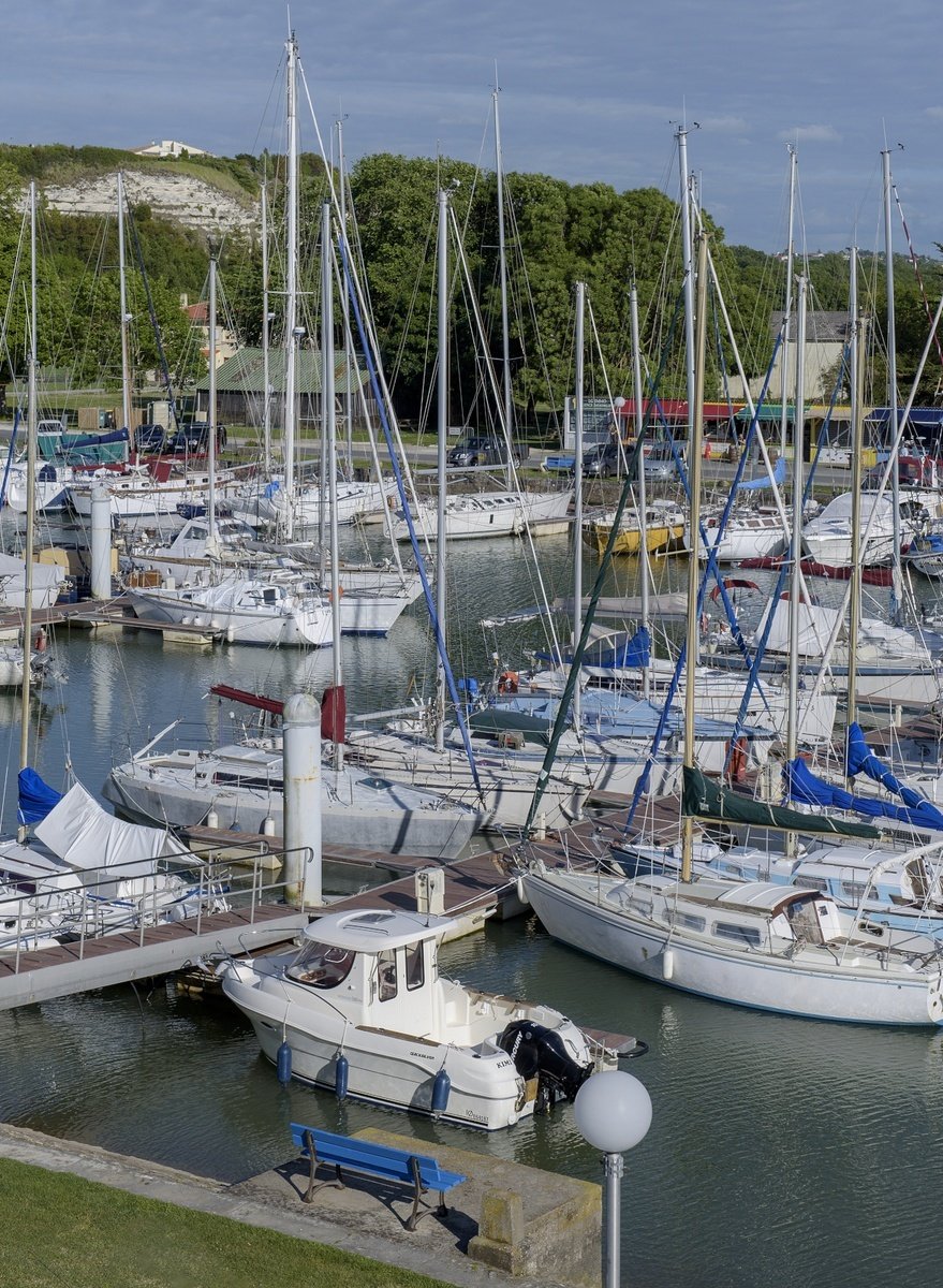 Condo in Mortagne-sur-Gironde, Nouvelle-Aquitaine, France 5 - 16761953