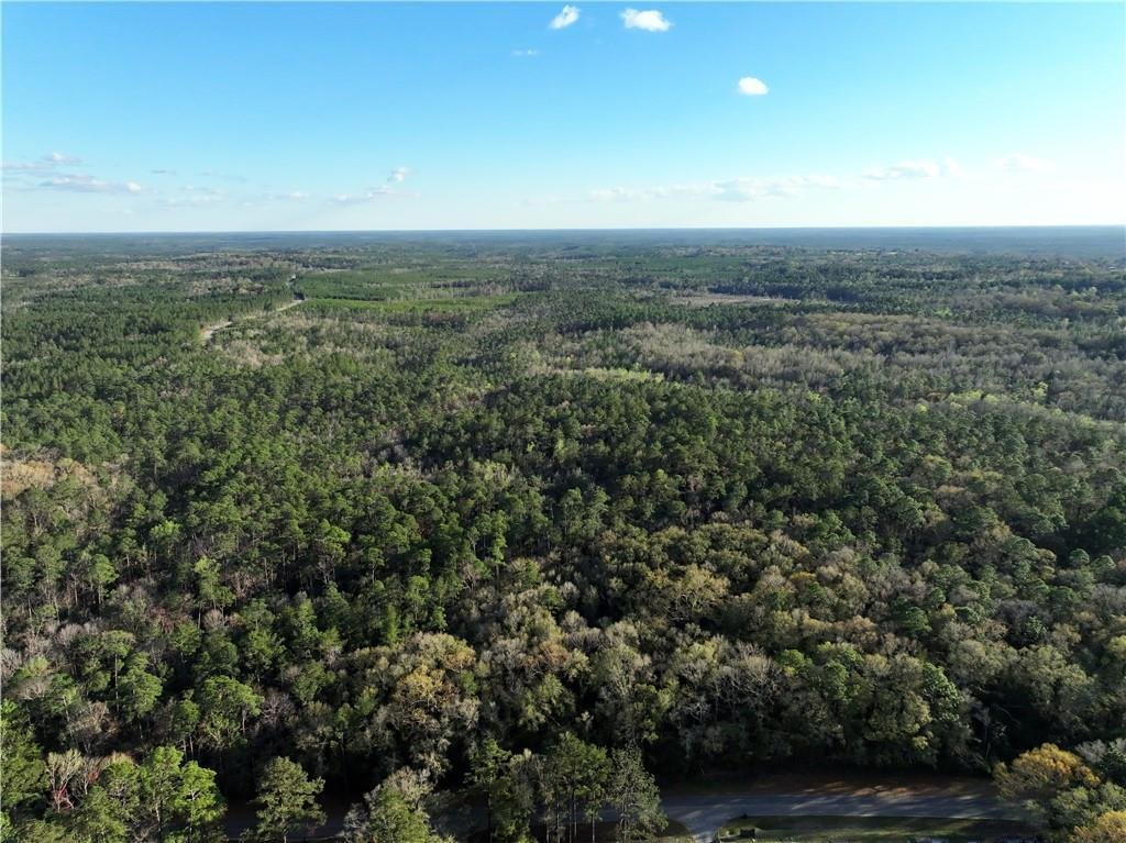 Land in Bay Minette, Alabama, United States 3 - 16756103