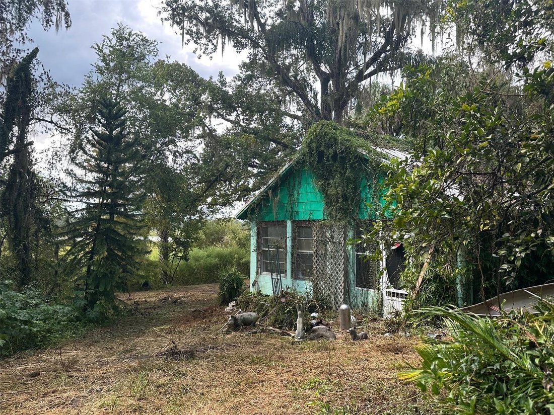 House in Inverness, Florida, United States 1 - 16755621