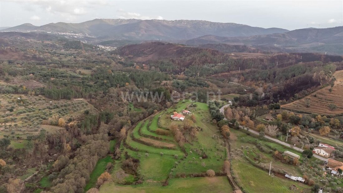 Farm Ranch in Castelejo, Castelo Branco District, Portugal 4 - 15303156