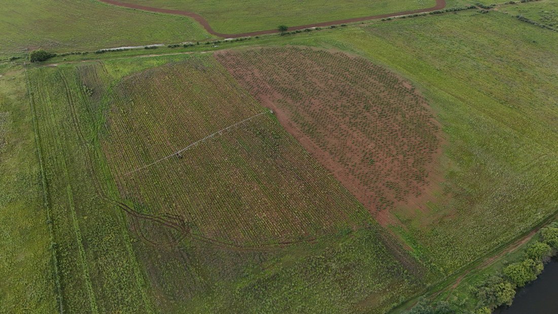 Farm Ranch in Klerksdorp, North West, South Africa 1 - 16761402