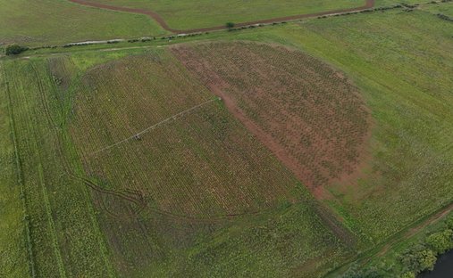Farm Ranch in Klerksdorp, North West, South Africa 1