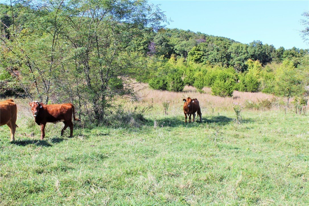 Land in Kingston, Arkansas, United States 4 - 16754449