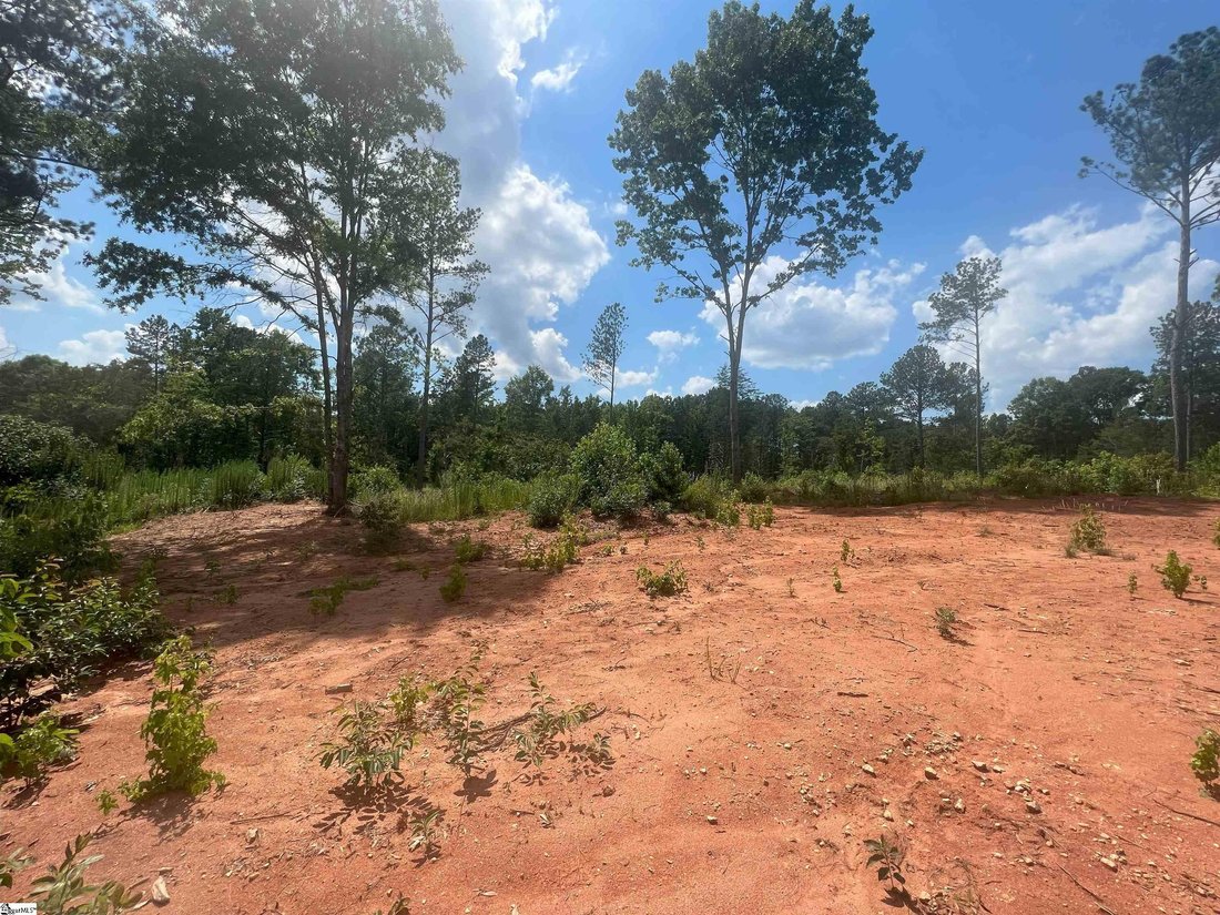 Farm Ranch in Woodruff, South Carolina, United States 5 - 16756209