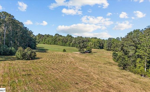 Farm Ranch in Gray Court, South Carolina, United States 1
