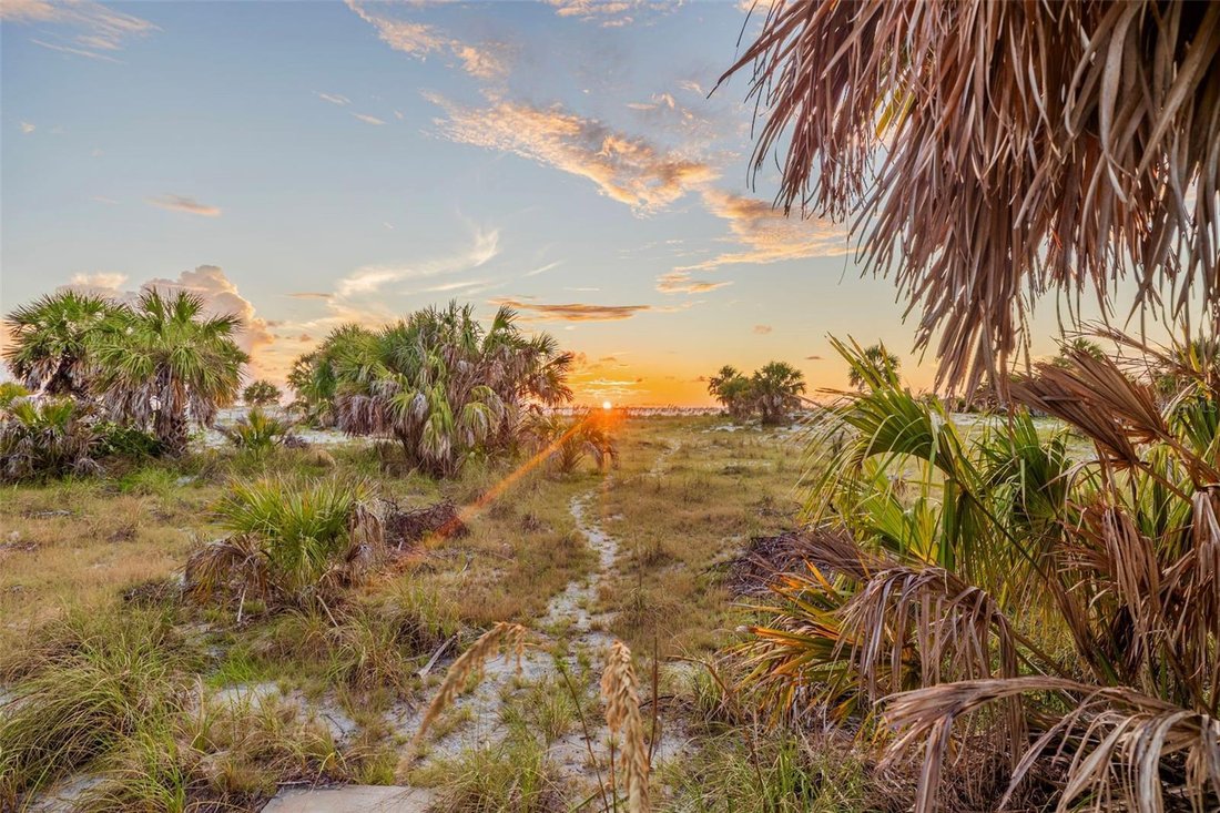House in Clearwater, Florida, United States 5 - 16754427