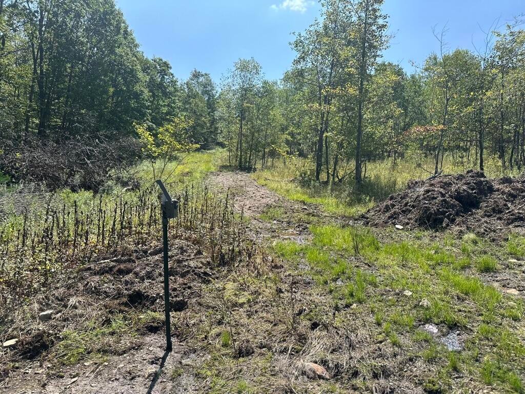 Farm Ranch in Mahaffey, Pennsylvania, United States 4 - 16756896