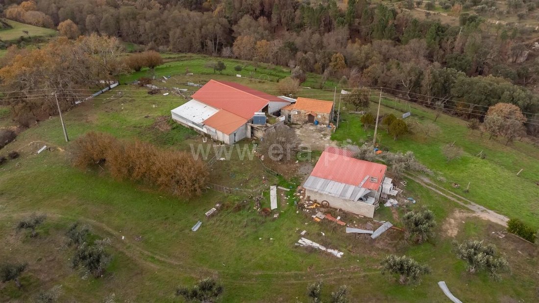 Farm Ranch in Castelejo, Castelo Branco District, Portugal 2 - 15303156
