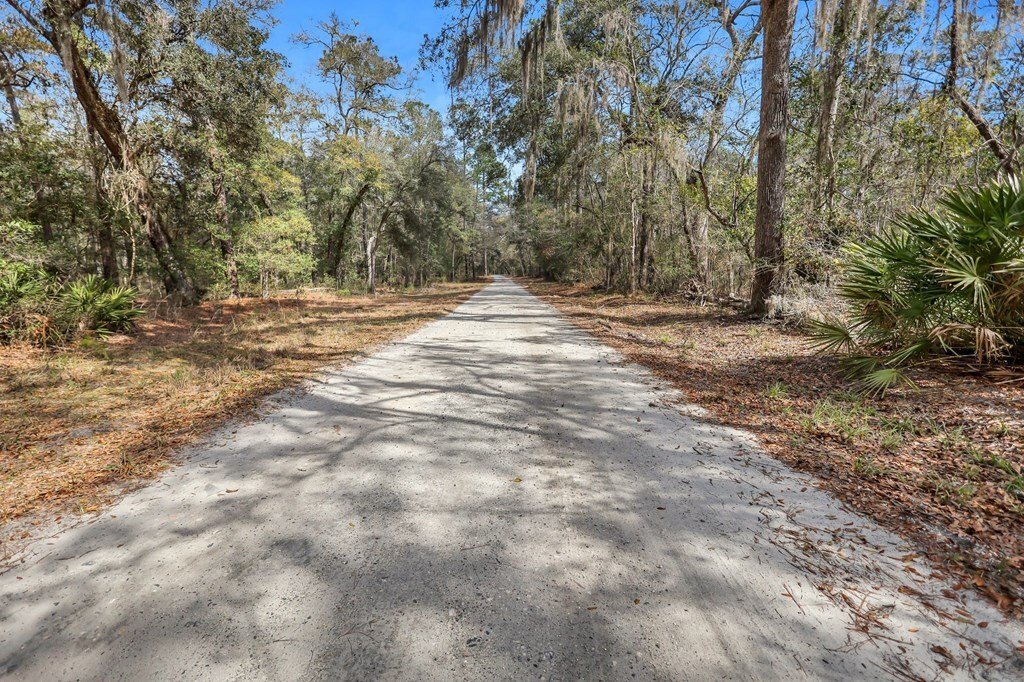Land in Woodbine, Georgia, United States 4 - 16755678