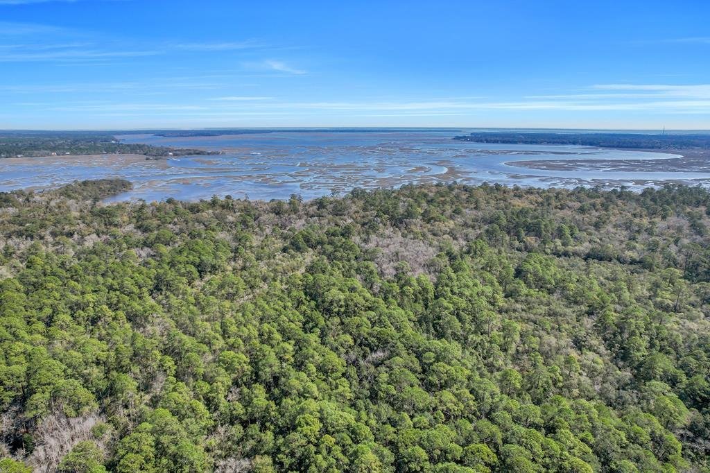 Land in Woodbine, Georgia, United States 1 - 16755678