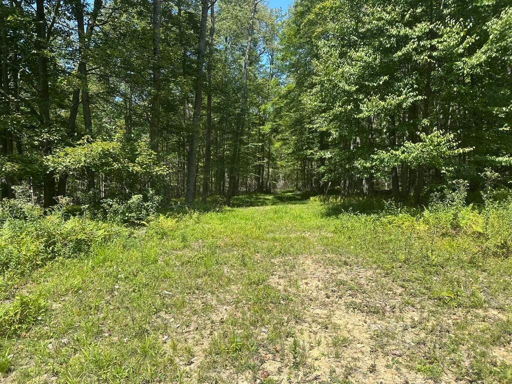 Farm Ranch in Mahaffey, Pennsylvania, United States 2 - 16756896