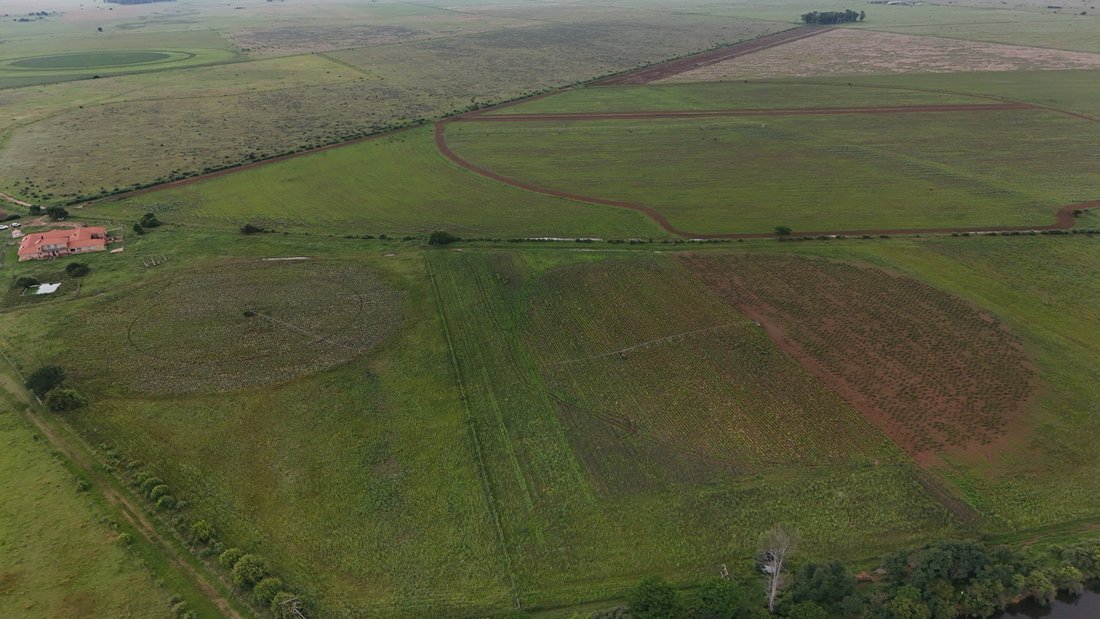 Farm Ranch in Klerksdorp, North West, South Africa 5 - 16761402