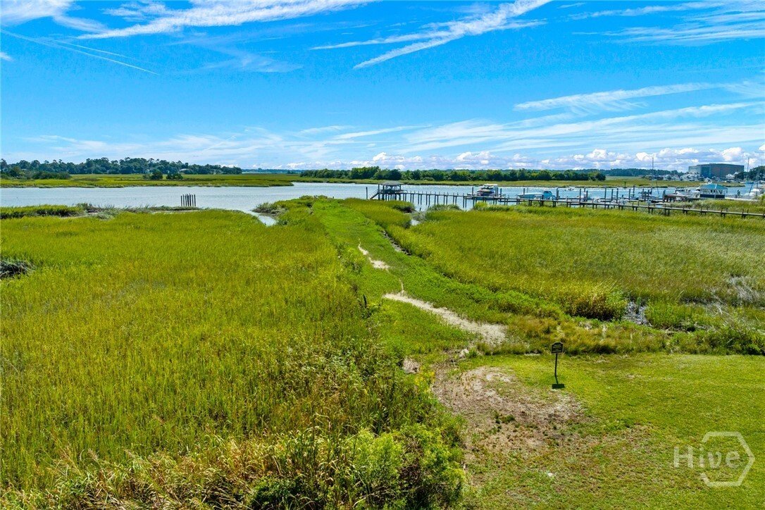 Land in Savannah, Georgia, United States 5 - 16758549