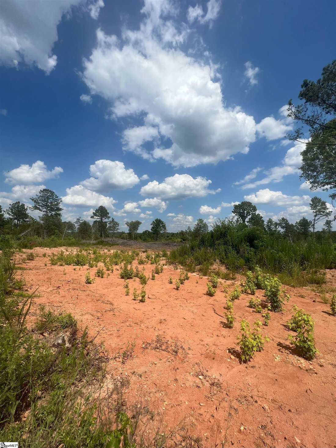 Farm Ranch in Woodruff, South Carolina, United States 3 - 16756209