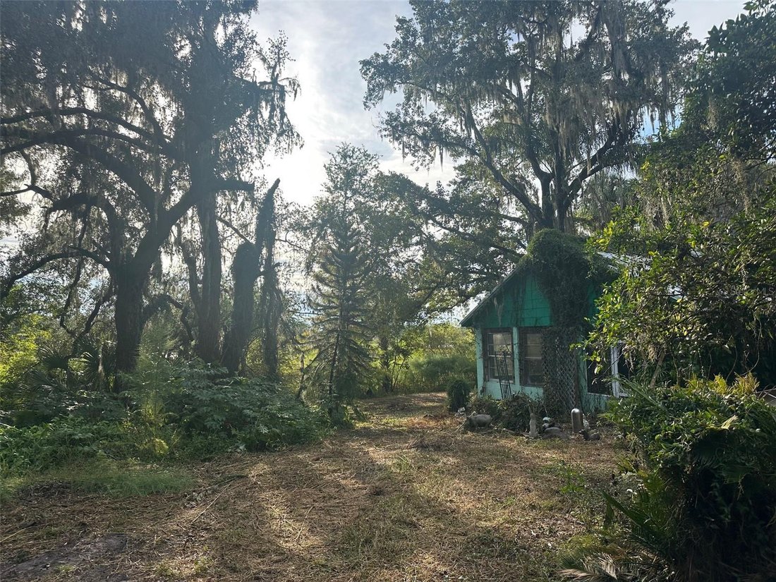 House in Inverness, Florida, United States 4 - 16755621