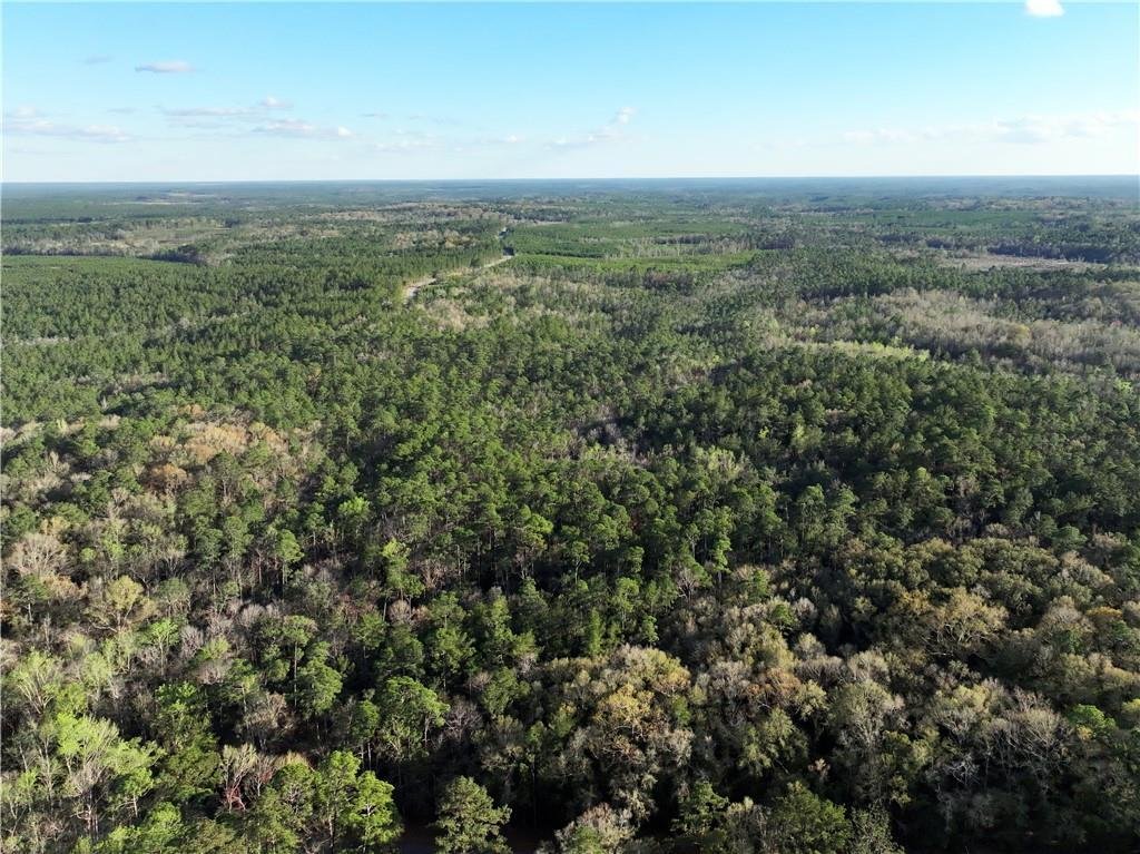 Land in Bay Minette, Alabama, United States 5 - 16756103