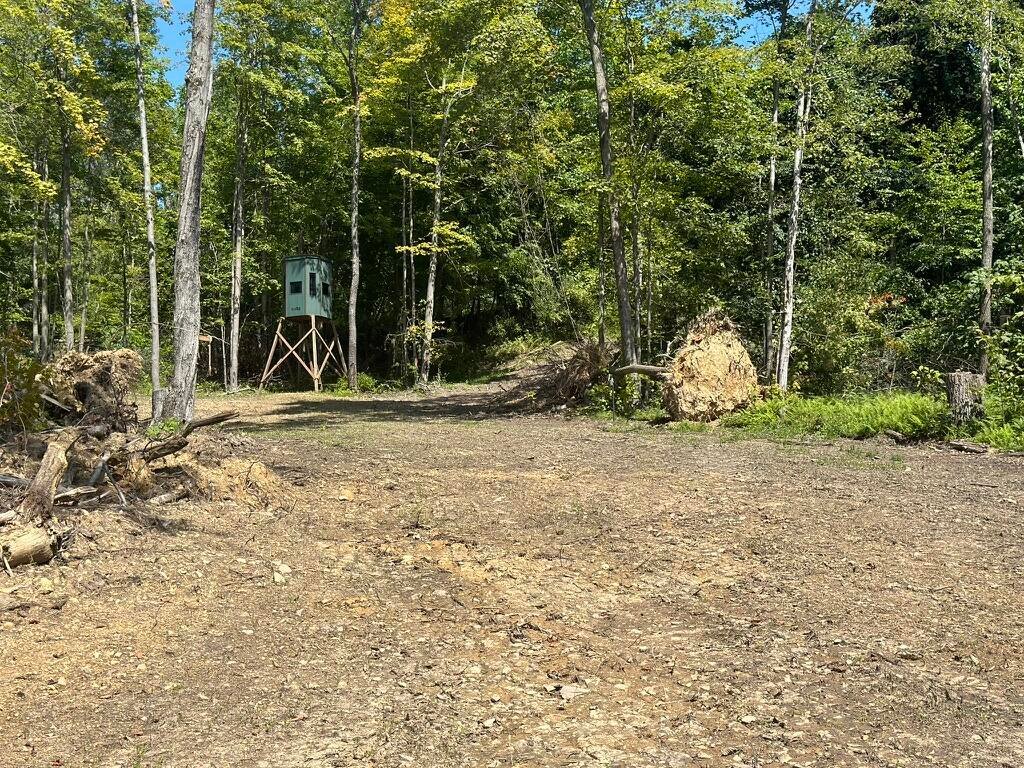 Farm Ranch in Mahaffey, Pennsylvania, United States 1 - 16756896