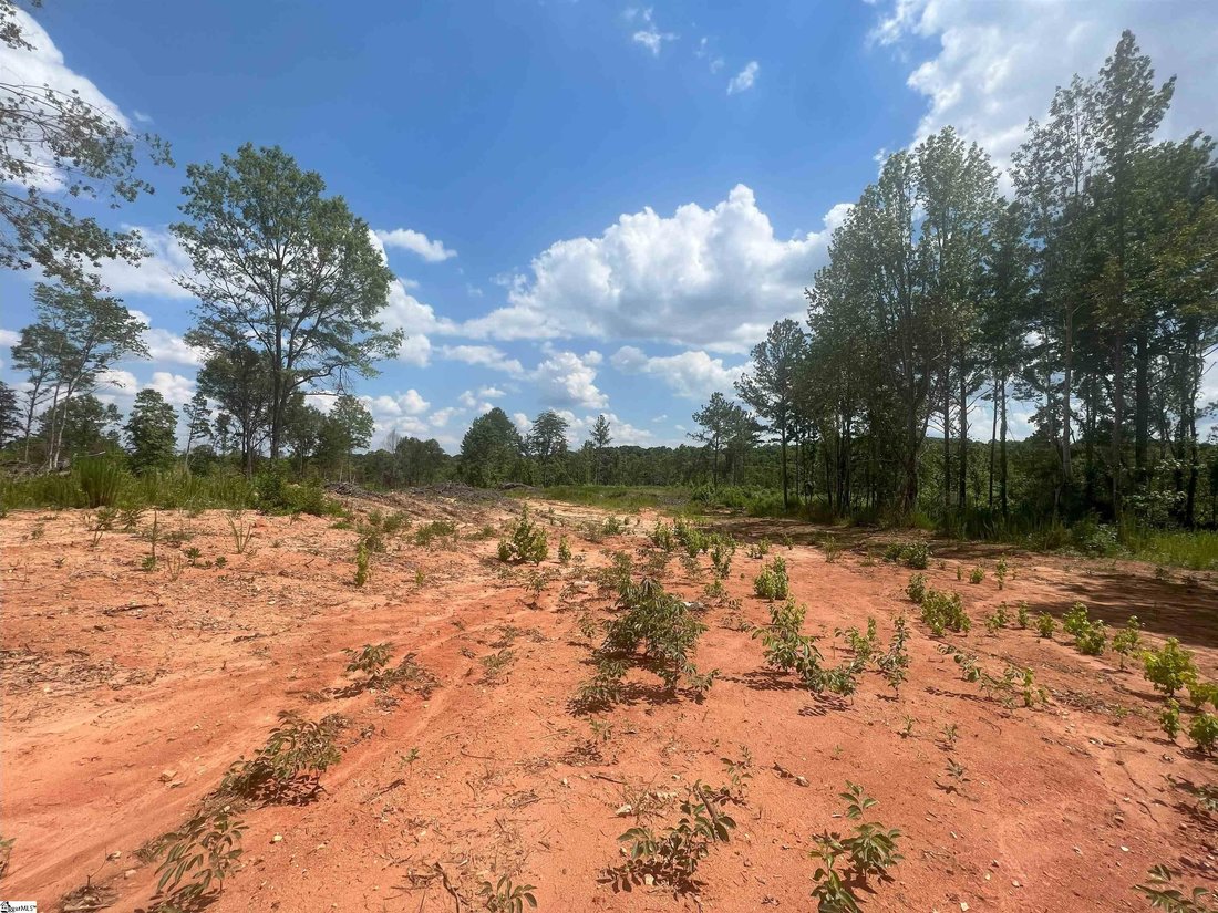 Farm Ranch in Woodruff, South Carolina, United States 4 - 16756209