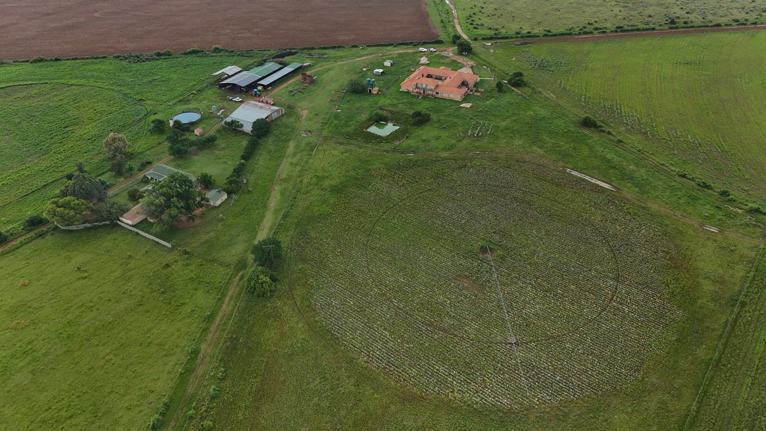 Farm Ranch in Klerksdorp, North West, South Africa 4 - 16761402