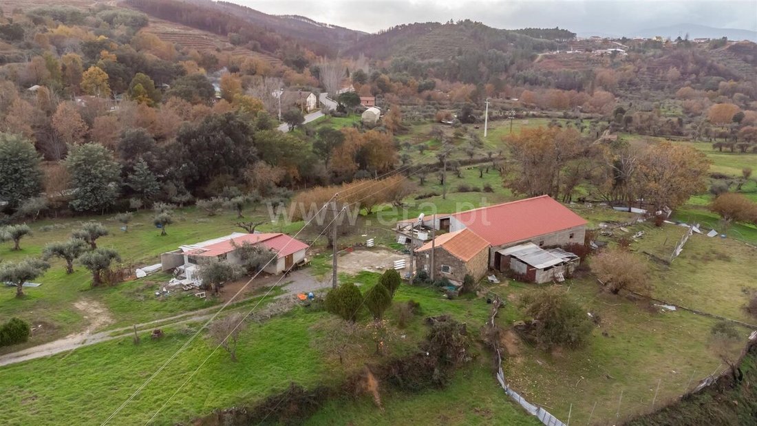 Farm Ranch in Castelejo, Castelo Branco District, Portugal 1 - 15303156