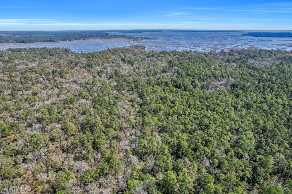 Land in Woodbine, Georgia, United States 3 - 16755678