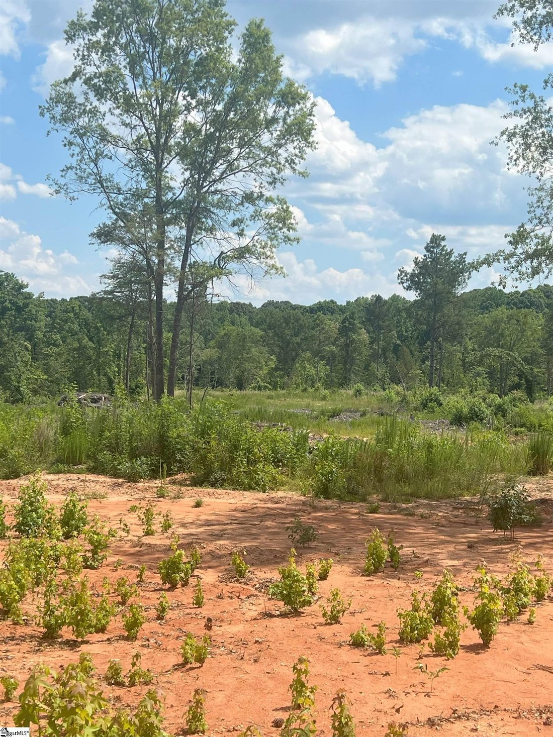Farm Ranch in Woodruff, South Carolina, United States 2 - 16756209