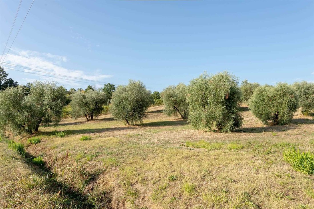 Estate in Poggio a Caiano, Tuscany, Italy 5 - 16753440