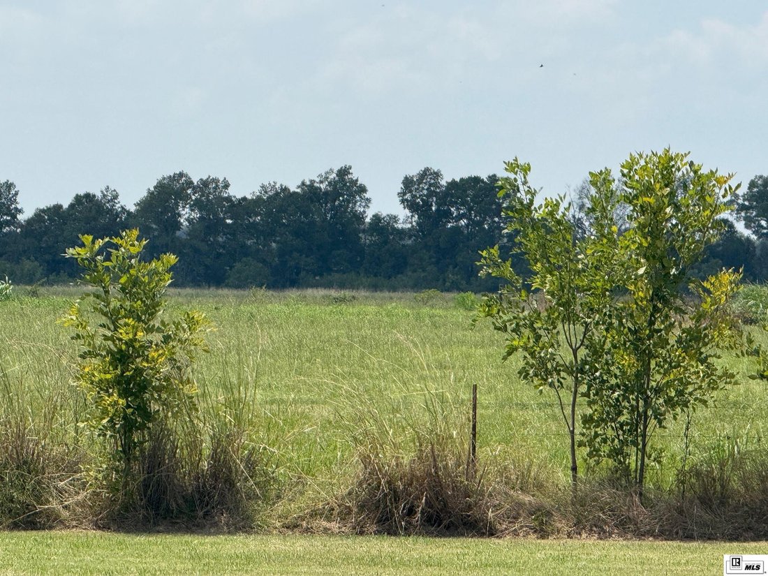 Farm Ranch in Rayville, Louisiana, United States 2 - 16754960