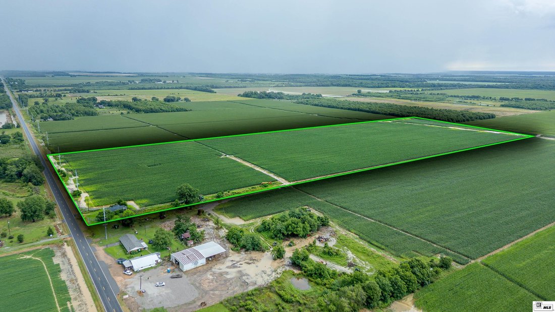 Farm Ranch in Rayville, Louisiana, United States 4 - 16754996