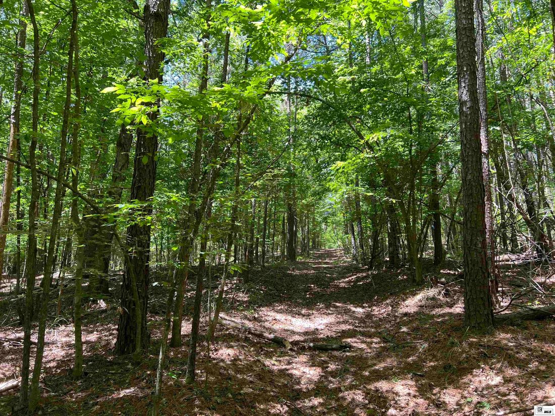 Land in Bernice, Louisiana, United States 1 - 16754971