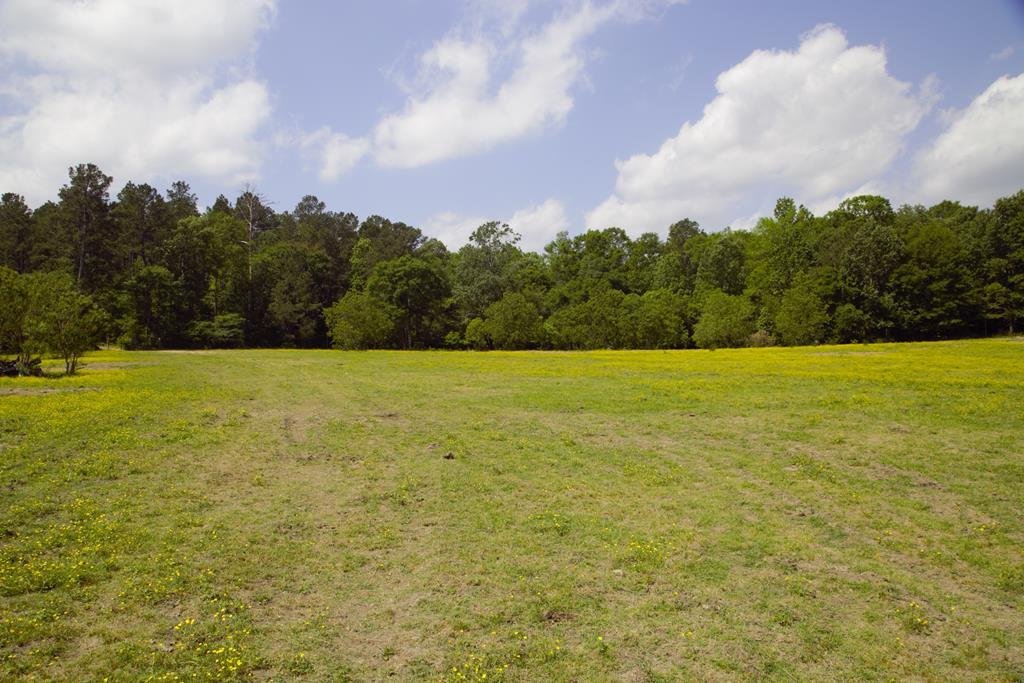 Land in Corrigan, Texas, United States 5 - 16755819
