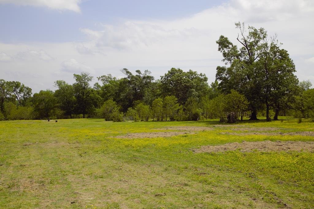 Land in Corrigan, Texas, United States 3 - 16755819