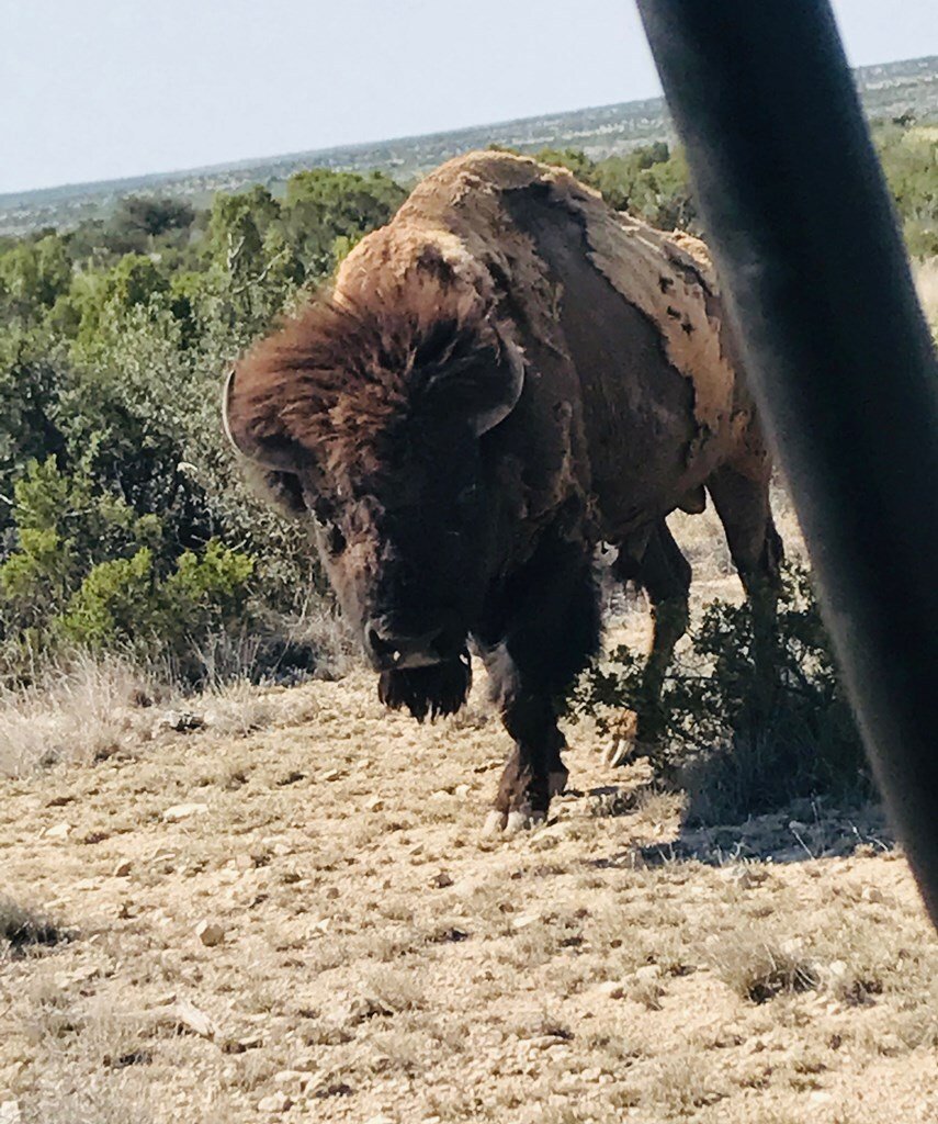 Land in Sheffield, Texas, United States 5 - 16755276
