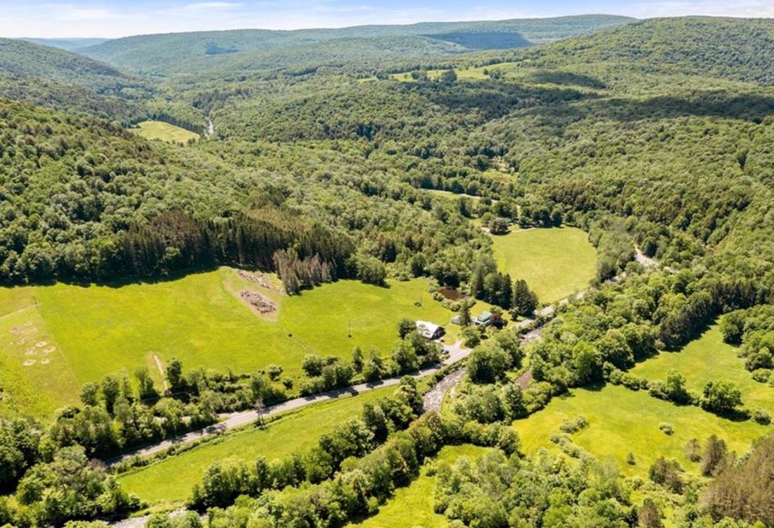 House in Livingston Manor, New York, United States 3 - 16756400